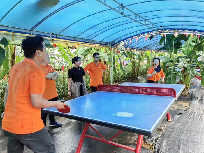 閑暇時(shí)光&nbsp;和諧歡愉